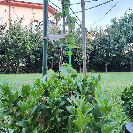 Vila Vasile Navodari Luaran gambar